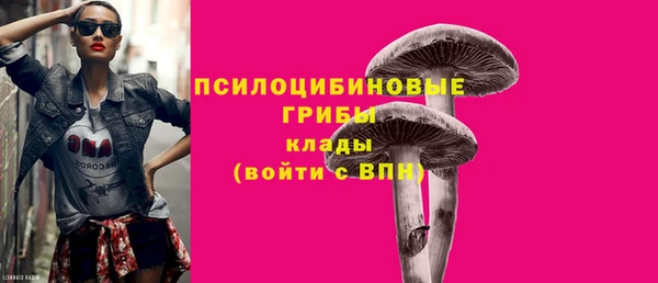 альфа пвп Медногорск